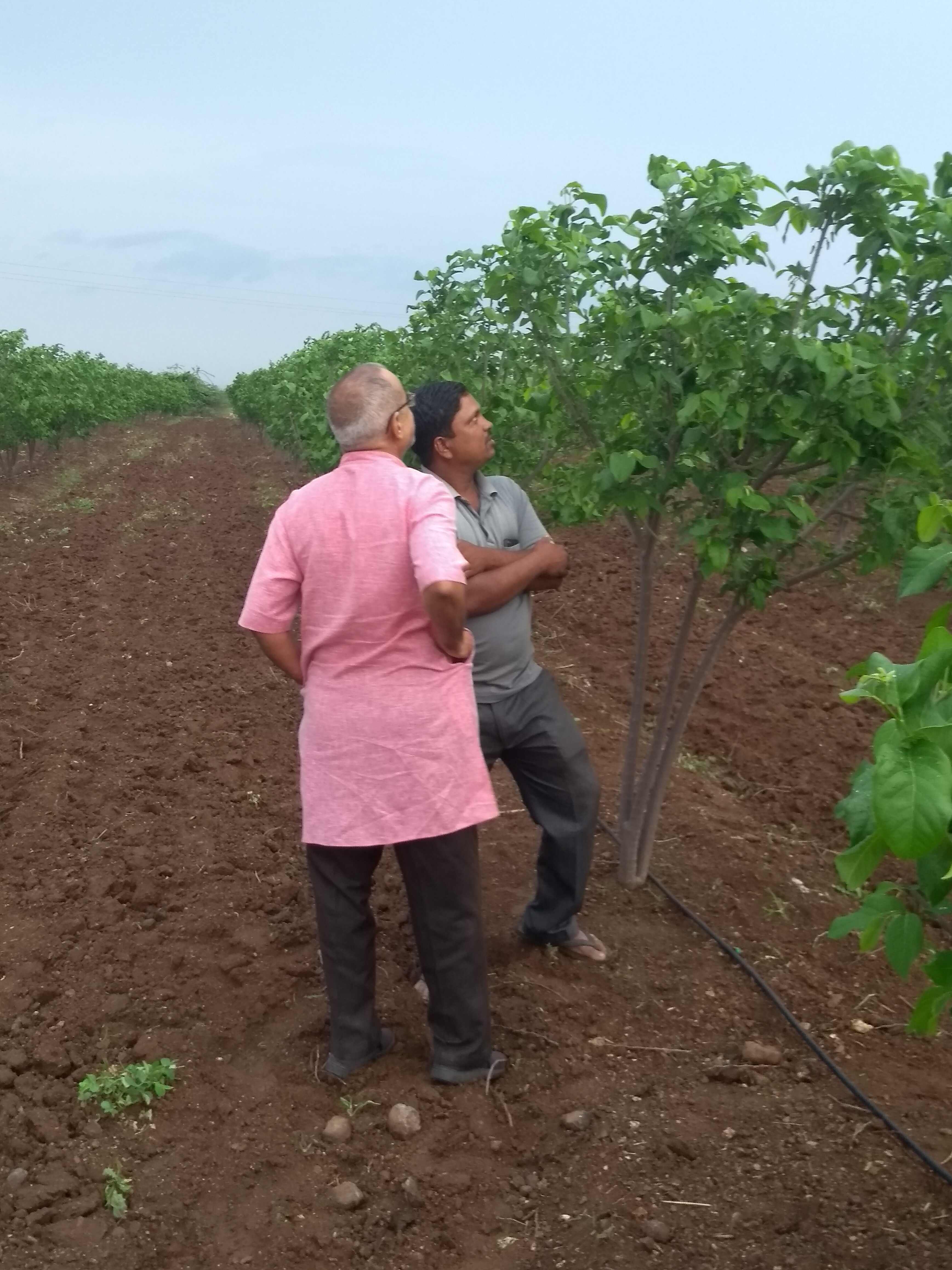 शेती उपक्रम